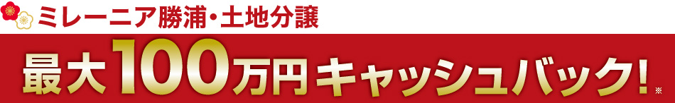 ミレーニア勝浦・土地分譲 最大100万円キャッシュバック!