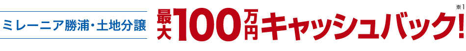 ミレーニア勝浦・土地分譲 最大100万円キャッシュバック!