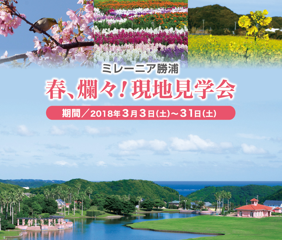 ミレーニア勝浦|春、爛々!現地見学会 2018年3月3日(土)〜31日(土)
