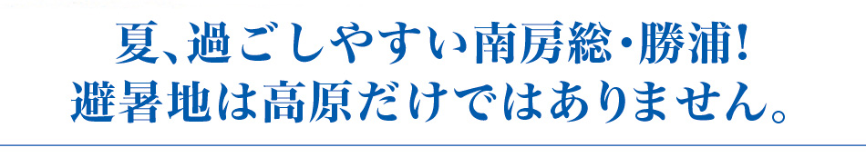 夏、過ごしやすい南房総・勝浦! 避暑地は高原だけではありません。