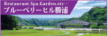 ブルーベリーヒル勝浦
