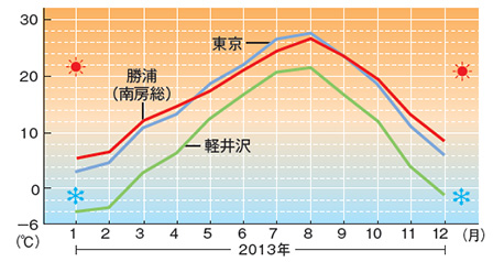 東京・勝浦・軽井沢の月別平均気温