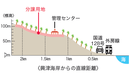 興津海岸からの直線距離