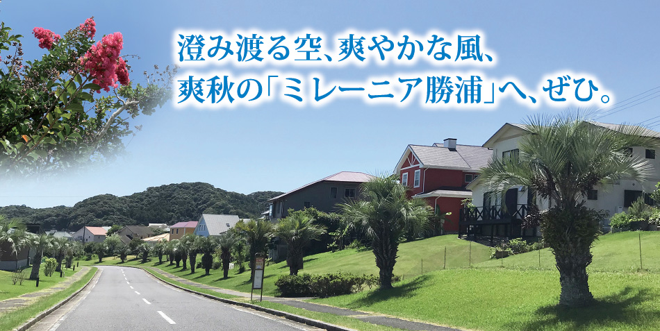 澄み渡る空、爽やかな風、爽秋の「ミレーニア勝浦」へ、ぜひ。