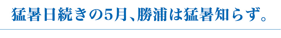 猛暑日続きの5月、勝浦は猛暑知らず。