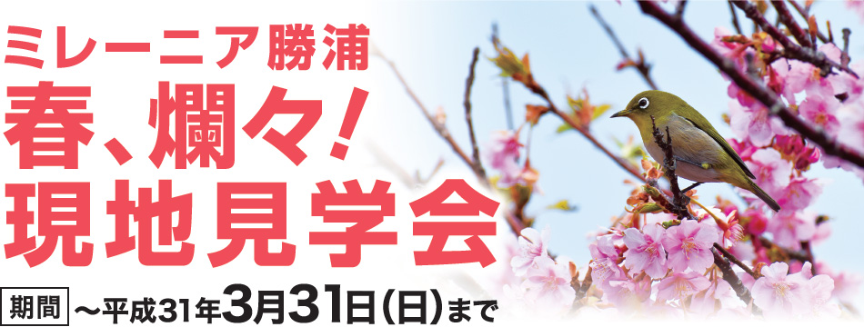 ミレーニア勝浦 春、爛々!現地見学会 期間 〜平成31年3月31日(日)まで