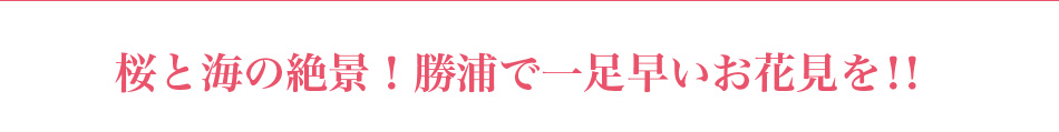 桜と海の絶景!勝浦で一足早いお花見を!!