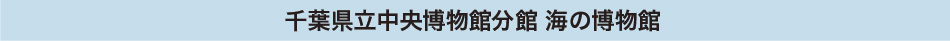 勝浦宇宙通信所│施設見学のご案内