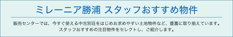田舎暮らし/ミレーニア勝浦流 田舎暮らし