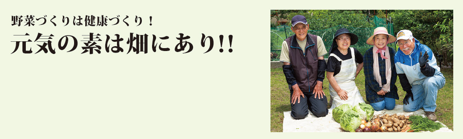 “いつか”ではなく−“今”を楽しみたい