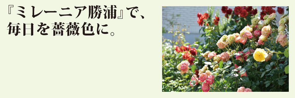 『ミレーニア勝浦』で、毎日を薔薇色に。
